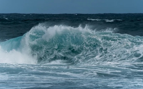 Okeanlarning kislotalanishi xavfli darajaga yetdi – olimlar