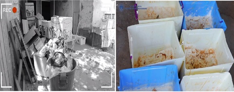 Toshkentda isteʼmolga yaroqsiz 220 kg “Andijon muzqaymogʻi“ aniqlandi