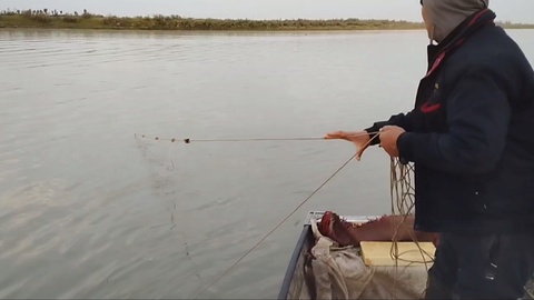 Brakonyerlar tabiat himoyachilariga hujum qildi