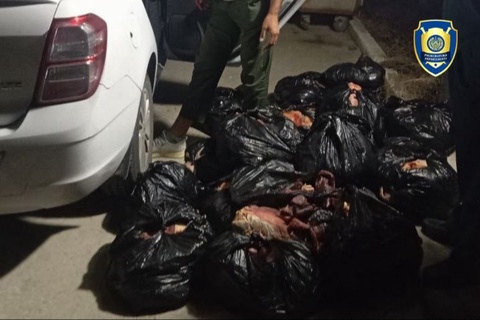 Qashqadaryoda isteʼmolga yaroqsiz goʻsht mahsulotlarini olib ketayotgan shaxs ushlandi