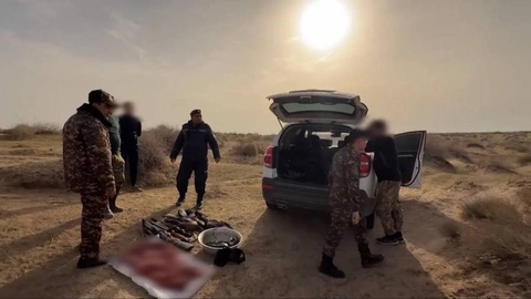 В Сурхандарье пресечена незаконная охота на 13 зайцев