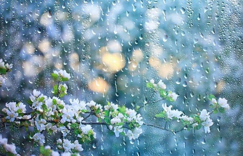 Бұл апта жылы болғанымен, жаңбырлы болады