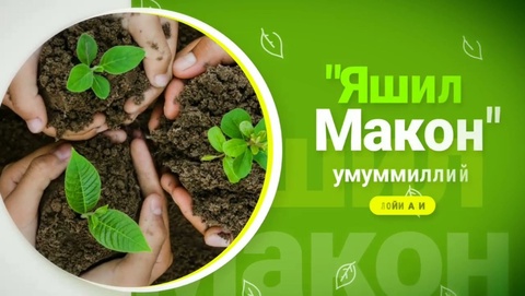 “Yashil makon” loyihasi doirasida kuzgi koʻchat ekish ishlari qanday bajarilyapti?