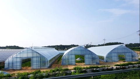 Президент  жылыжайлардың газдан өшірілу жағдайын шұғыл тексеруді тапсырды