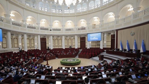 BAAda boʻlib turgan oʻzbekistonliklarning huquqiy himoyasini kuchaytirishga qaratilgan hujjat ratifikatsiya qilinadi