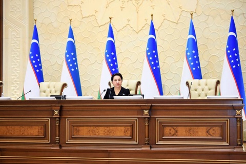 Сенат одобрил Конституционный закон о правовом статусе Администрации Президента Республики Узбекистан
