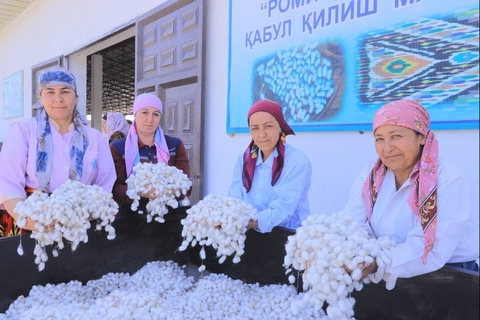 Xotin-qizlar pillachilik sohasida qisqa muddatli oʻquv kurslarida oʻqitiladi