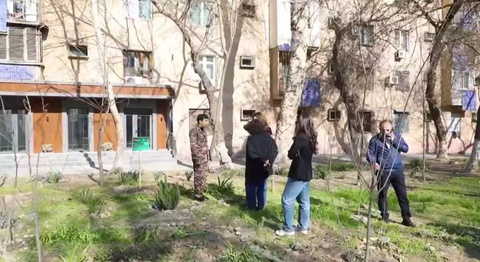 В Ташкенте проверили информацию о вырубке зеленых насаждений на улице Аккурган