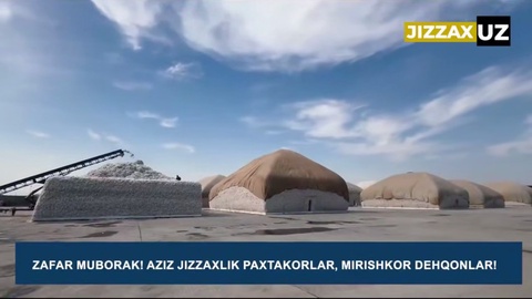 Jizzax viloyati ham paxta topshirish rejasini bajardi