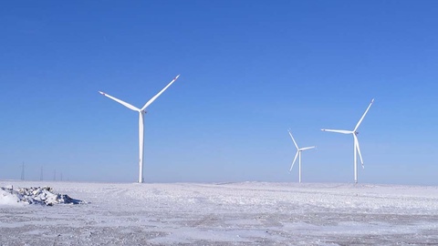 Ветроэнергетика: с заботой об окружающей среде