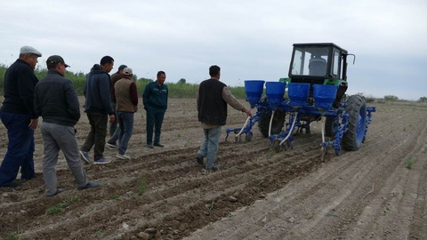 Дәслепки культивациялаўдың сапасы – мол өнимниң тийкары