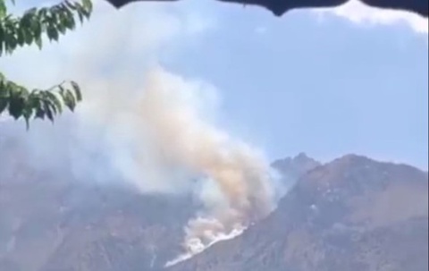 Yongʻin Boʻstonliqdagi “Burchmullo” oʻrmon xoʻjaligida chiqqan – FVV