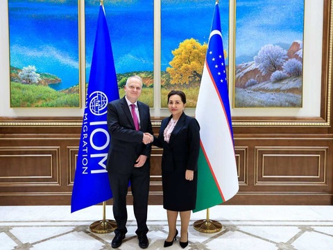 Сенатта миграция қауіпсіздігі талқыланды