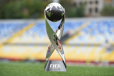 Sports news: the World Cup starts in Qatar, the heroes of Bahrain 2025 will be awarded today, Yannick Sinner is the winner of the Masters tournament in Paris