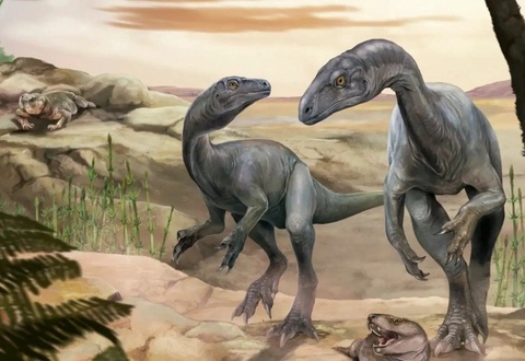 Eng qadimgi dinozavrlardan birining qoldiqlari topildi