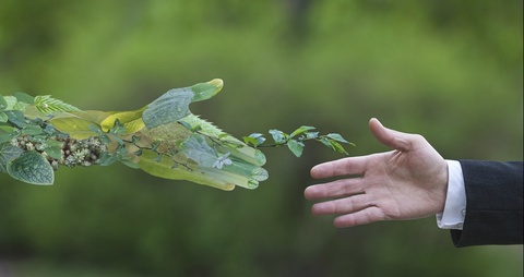Атроф-муҳитга салбий таъсирни камайтириш чораларини кўрган саноат корхоналари рағбатлантирилади