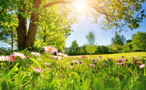 В Узбекистане в выходные ожидается очень теплая погода - до +30…+35 градусов