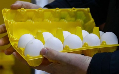 Rossiyada tuxum narxi “rekord” darajada oshib ketdi