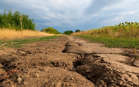 Қитъалар мисли кўрилмаган тезликда “қуримоқда” – тадқиқот
