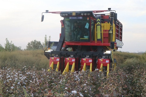 Бу йилги мавсумда илк бор 1700 га яқин пахта териш машиналари иштирок этиши кутилмоқда