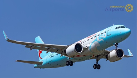 Olmaotadagi tuman tufayli ikkita reys Toshkentga yoʻnaltirildi