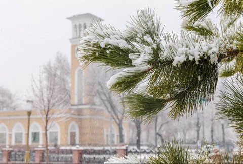 Прогноз погоды на 16 января