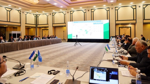 В Узбекистане запущен проект по развитию верблюдоводства