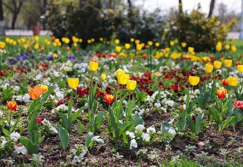 Ўзбекистонда байрам кунларида об-ҳаво қандай бўлади?