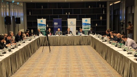 Internationally and nationally adopted strategies are important in achieving the Sustainable Development Goals and the transition to a green economy