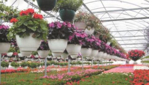 Все условия для благополучной жизни