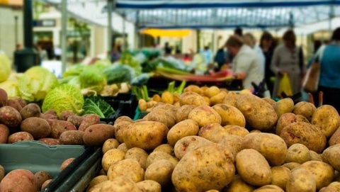 Toshkentdagi supermarketlarda ayrim oziq-ovqat mahsulotlarining narxi pasaydi
