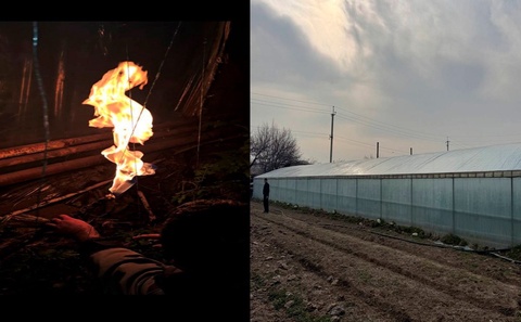 Toshkentda 2 ta issiqxona tabiiy gaz tarmogʻiga noqonuniy ulanib olgani aniqlandi