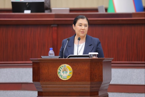 Oliy Majlisning Inson huquqlari bo‘yicha vakili saylandi