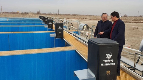 A fish breeding cluster is being created in the Nukus district