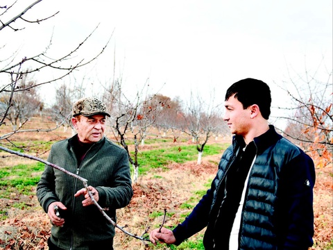 “Barchasiga imkon topa oldim...” Bogʻbon Akbar Hasanovning jasorati