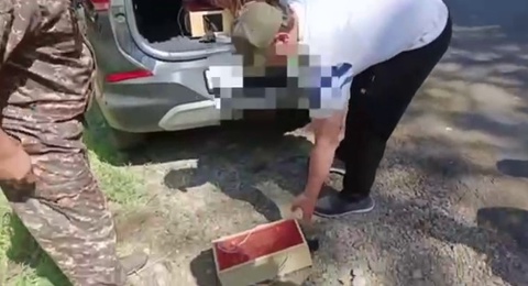 Toshkent viloyatida bulbul ovchilari ushlandi