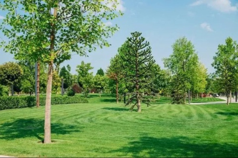 Ўзбекистон ва Тожикистон ҳамкорлигида “Дўстлик боғи“ барпо этилади