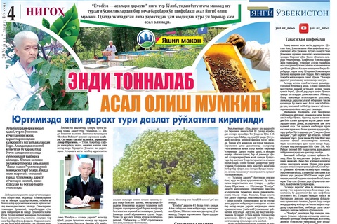 Endi tonnalab asal olish mumkin