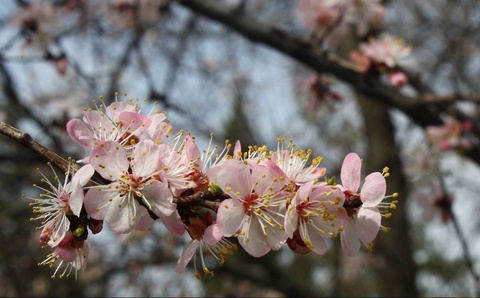 Прогноз погоды на день 1 марта