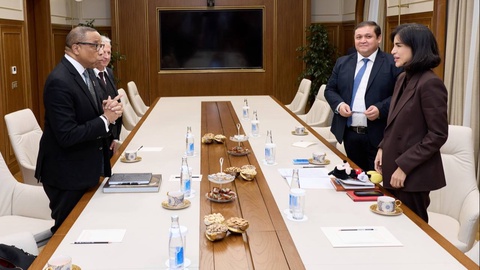 Kelgusida Oʻzbekistonda ham Disneyland ochilishi mumkin