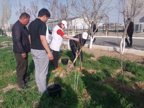 “Бир миллион терек” акциясы басланды