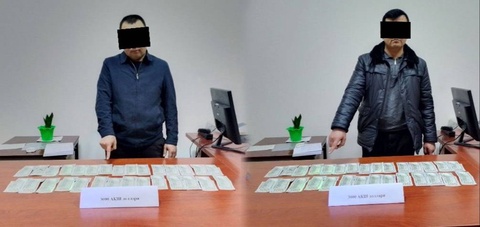 В Джизакской области и Каракалпакстане задержаны представители хокимиятов за незаконное оформление земельных участков