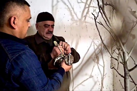 Қашқадарёда қизил китобга киритилган итолғи қушини сақлаб келаётган шахс аниқланди