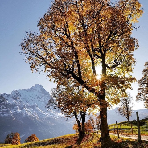 Демалыс күндеріне арналған ауа райы болжамы жарияланды