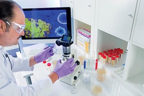 Маймыл шешегі пандемиясы жойылуы мүмкін