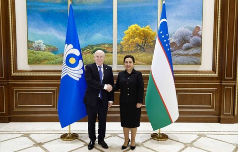 Сенатта ТМД делегациясымен кездесу өтті