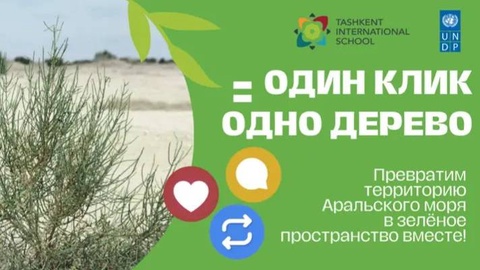 ПРООН провела в Узбекистане проект «Один клик = одно дерево»