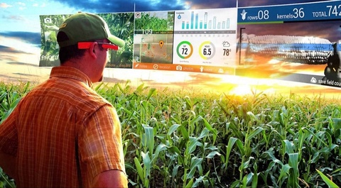 The World Bank will support the digitalization of the agricultural sector of Uzbekistan