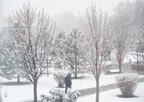 Тошкентда қор ёғиши мумкин