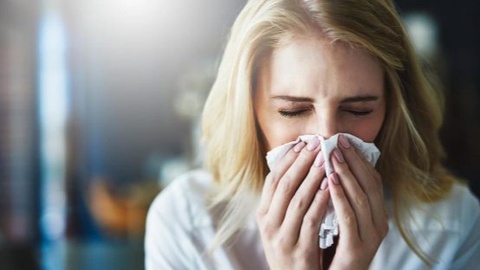 Kuz faslida nega allergik kasalliklar avj oladi?